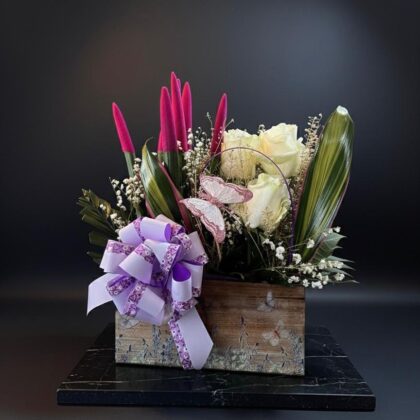 Caja planta y rosas